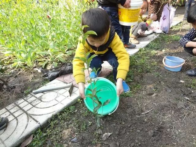 关于植树节,和孩子一起知道的几件事