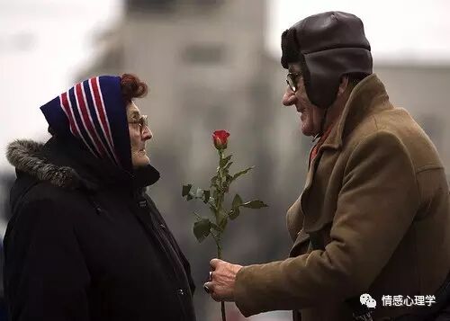 如果不是你，情人节跟我有毛关系！