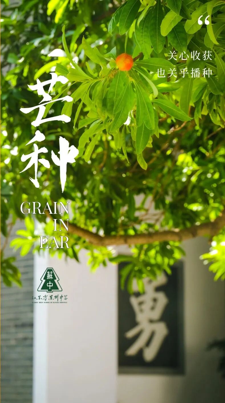 芒种节气祝福企业祝福问候全屏海报.png