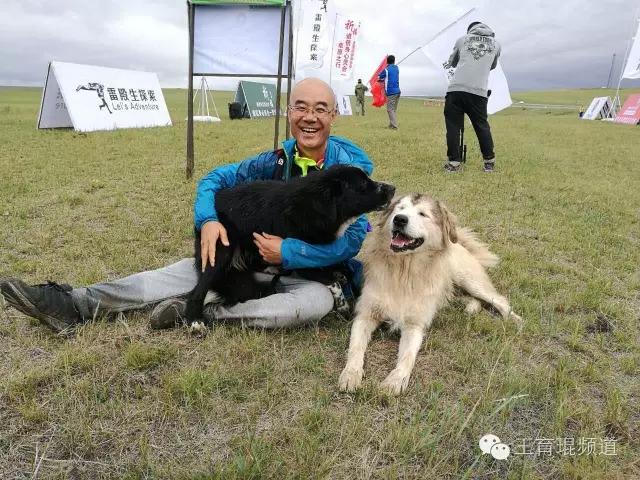 王育琨:回到生命的大根,头拱地拿出绝活 - 王育琨 - 王育琨 王育琨:回到生命的大根,头拱地拿出绝活 - 王育琨 - 王育琨