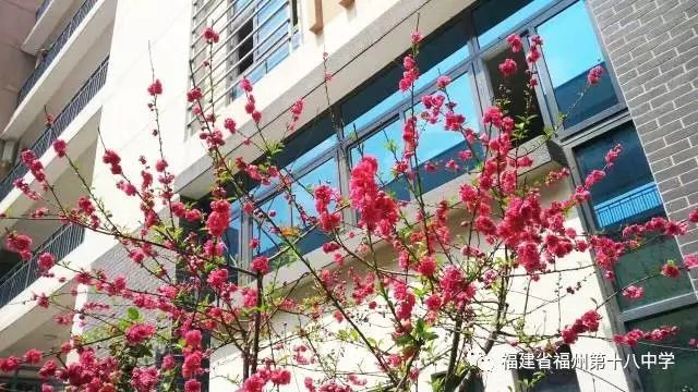 福州十八中象園校區_福州象園小學是公立還是私立_福州市象園小學地址