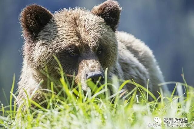 640?wx_fmt=jpeg&tp=webp&wxfrom=5&wx_lazy