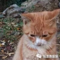 640?wx_fmt=jpeg&tp=webp&wxfrom=5&wx_lazy