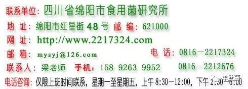 cctv7致富_cctv7养羊致富案例视频_cctv7 致富经