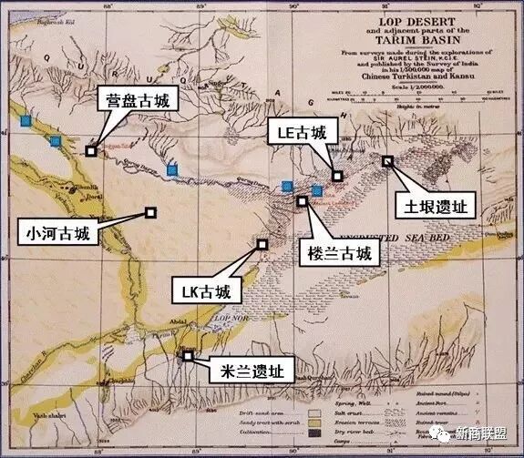 楼兰人种引出的话题