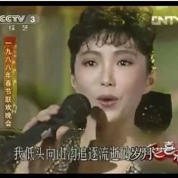 怀旧歌曲:程琳1989年春晚《好小子》完整版