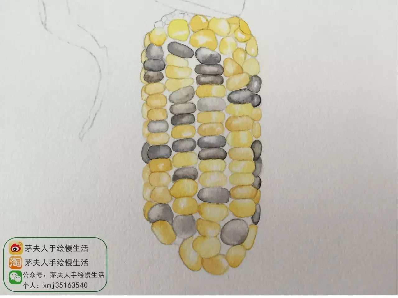 教程11丨是谁偷吃了我家玉米