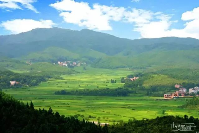 梅岭