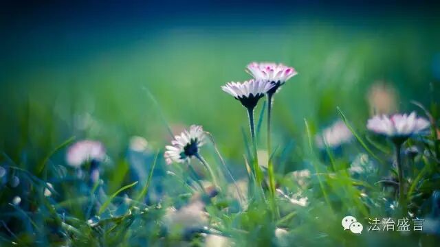 Ҷʢٺͷѧڻ಻ԷƷ_Ҷʢ