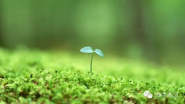 Ҷʢٺͷѧڻ಻ԷƷ_Ҷʢ