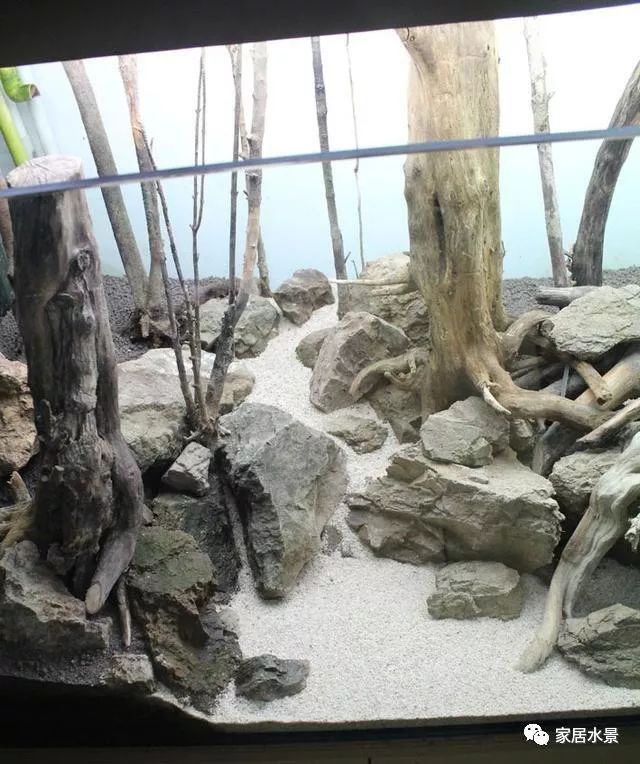 家居水景丨鱼缸沉木石头造景教程