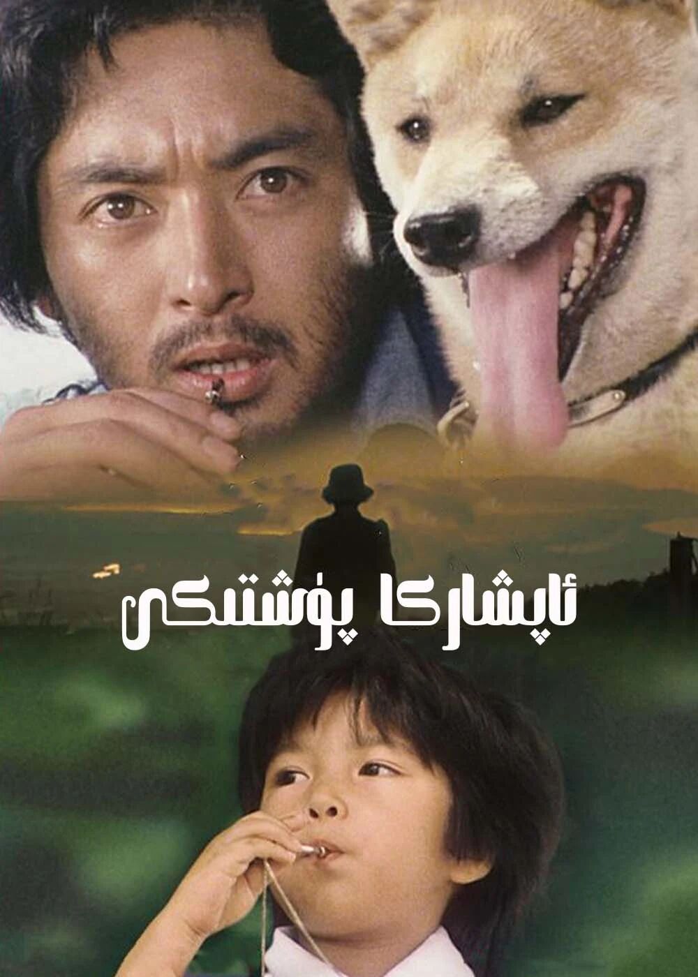 ئاپشاركا پۈشتىكى