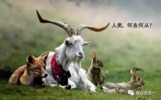 人世间是什么生物_世界生物是什么_世间生物人是什么样的