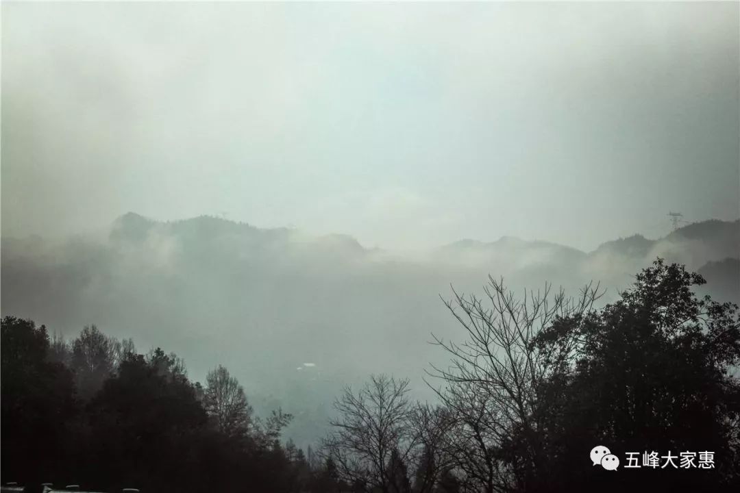 在渔关去往仁和坪的路上,可以看见浓雾已经将山谷全部覆盖,仿佛一片无图片