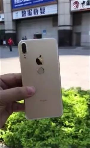 小智真是不知道该开心还是该郁闷