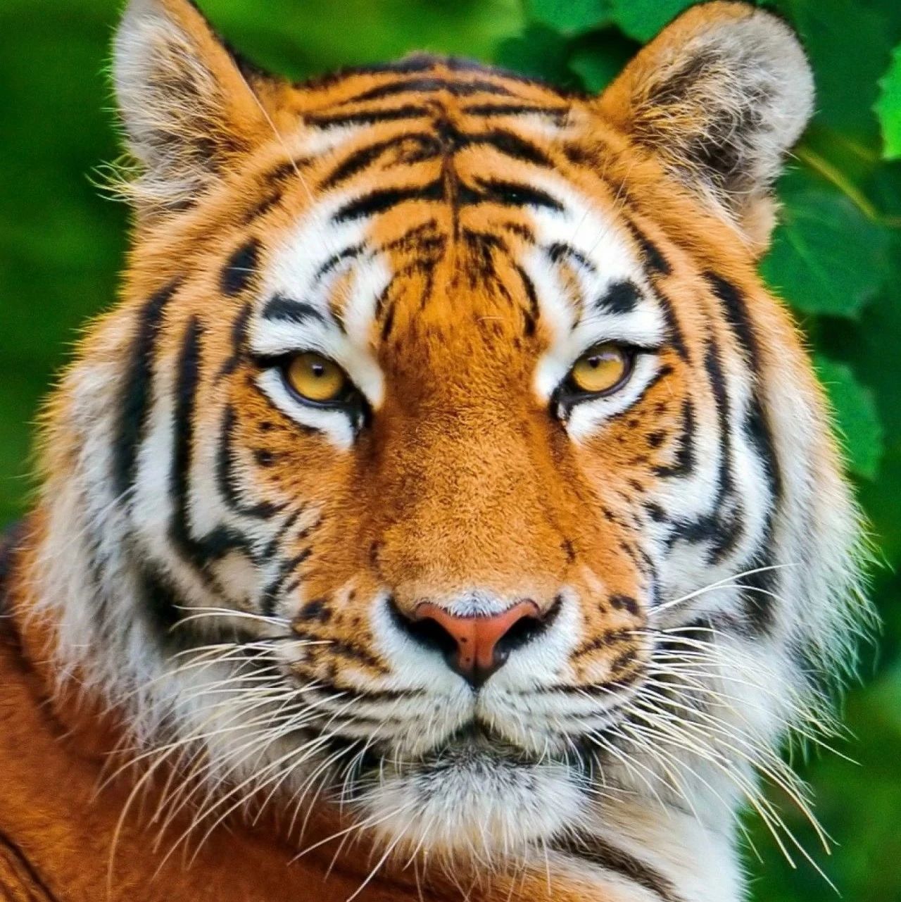 广西卫校中职学校官网-高职学校哪个好-比较出名的职高学校有那些