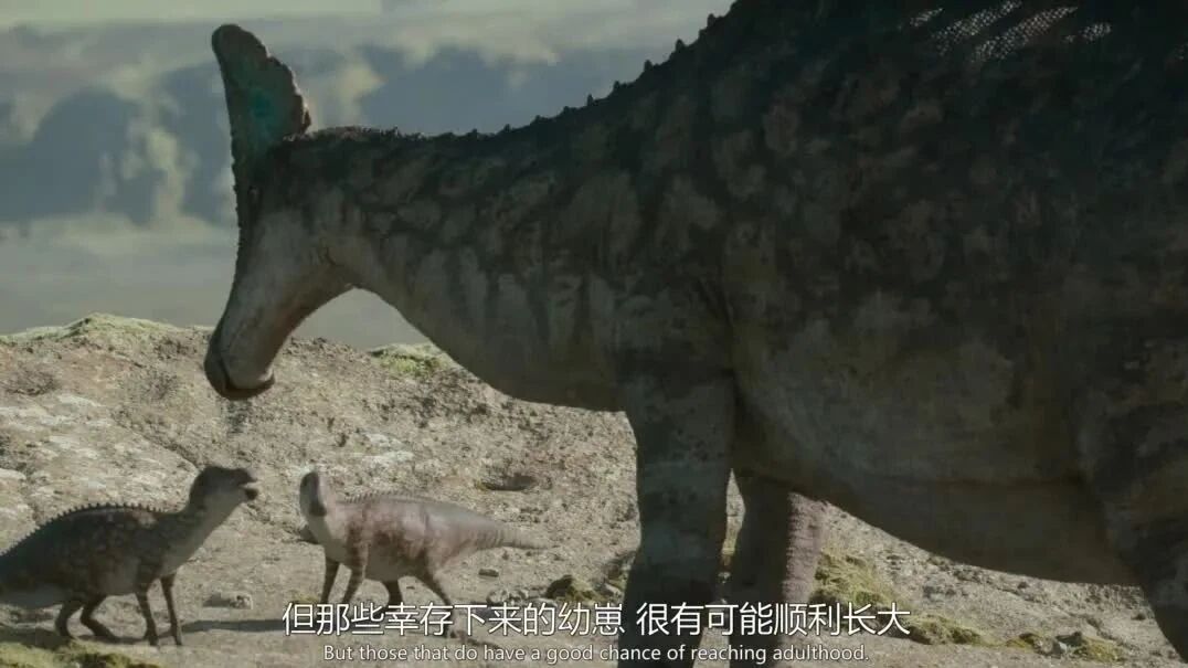 🔼点击上方观看完整影片！版权归原作者所有！⭐豆瓣9.6分！BBC刚上线的这部史诗级神作，没有孩子不喜欢！-4