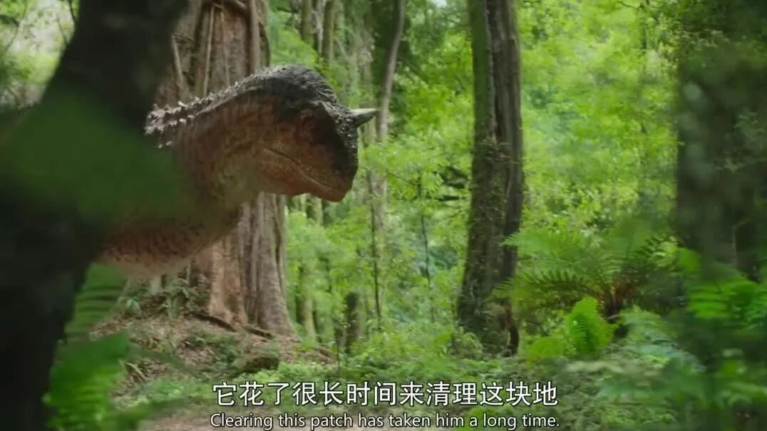 🔼点击上方观看完整影片！版权归原作者所有！⭐豆瓣9.6分！BBC刚上线的这部史诗级神作，没有孩子不喜欢！-5