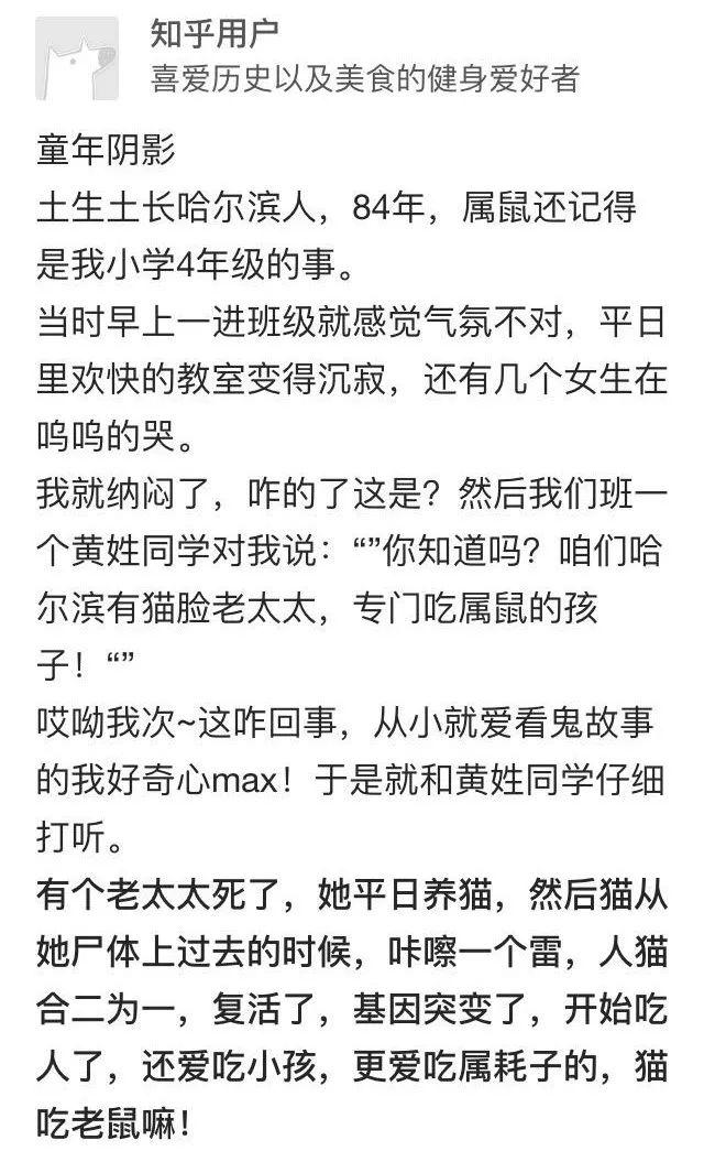 猫回忆钢琴曲谱
