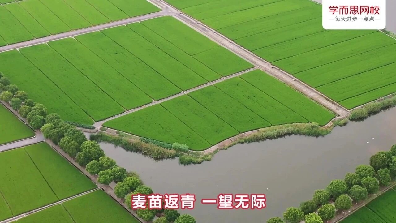 复习时间越短，越要讲究效率。⭐1-12年级期末全科复习来啦！