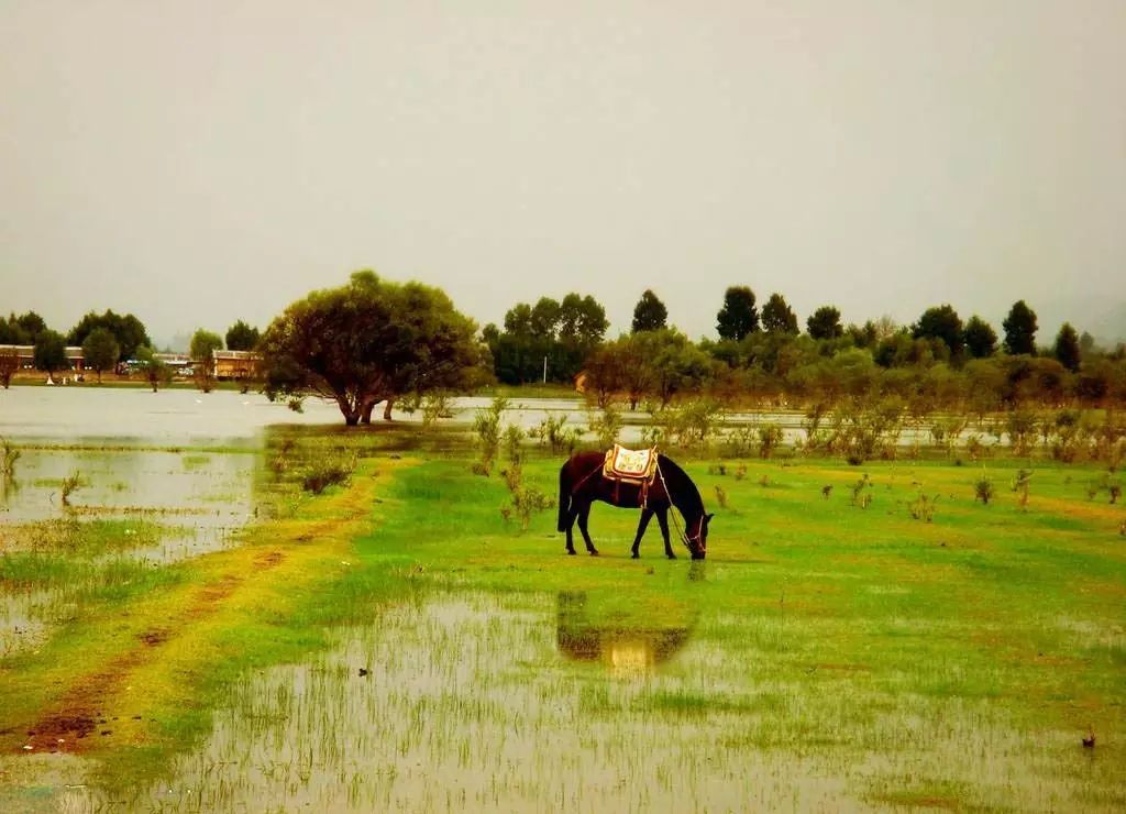创新创业项目目录 返乡下乡人员看过来！全国农村创业创新园区(基地)目录出炉，河南入围30家