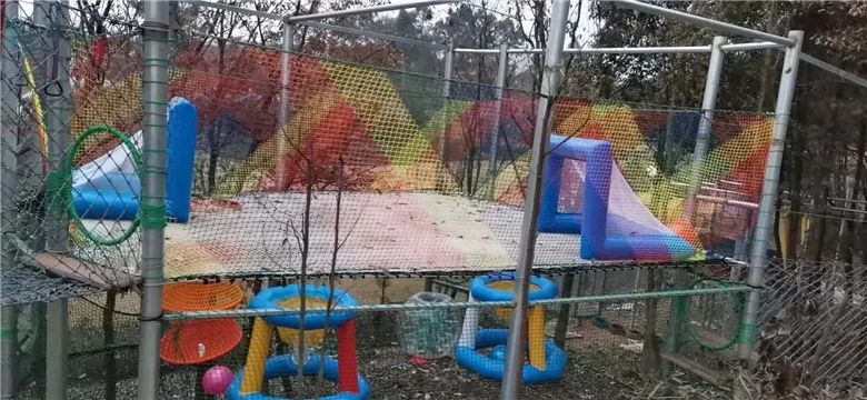 神獒国际户外运动村圣诞元旦特惠299元单人通票限时抢好礼免费送赏