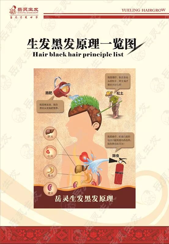 岳灵生发黑发原理图