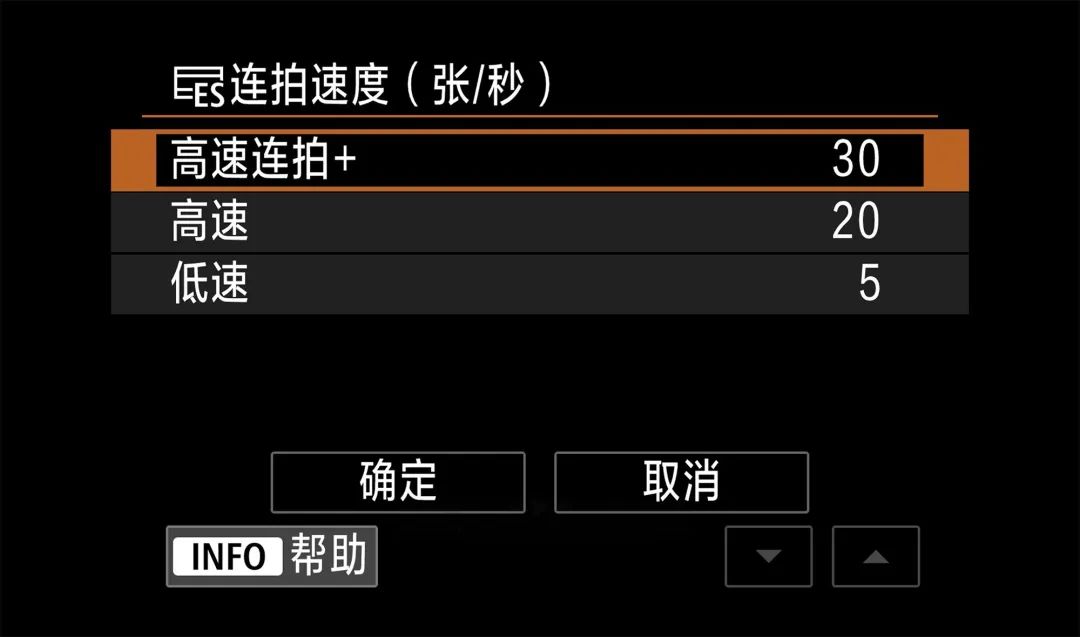 飞羽淬光 佳能EOS R5 Mark II生态摄影深度体验