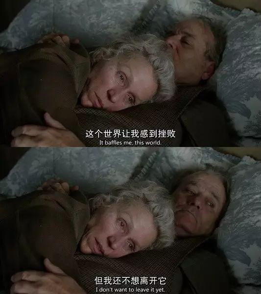 因为,我爱这千疮百孔的世界.