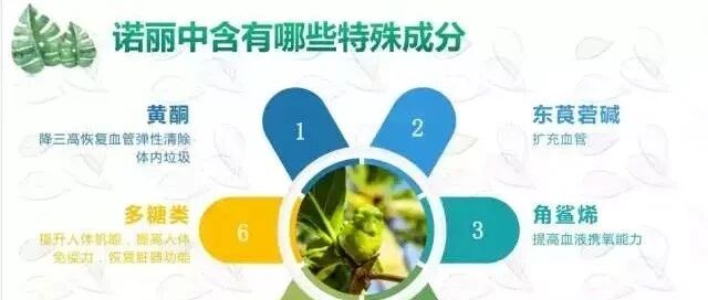 是什么宝藏水果？竟蕴含超级综合营养，北京中医药大学李主任为你剖析!
