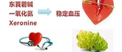 诺丽果酵素：你身上这三个部位痛吗？那是血管堵了！