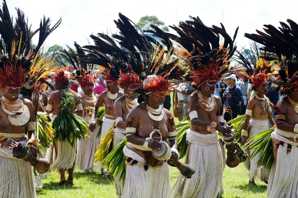 bbc和西方科考探险队将巴布亚新几内亚誉为生态和地理奇迹,每次深入