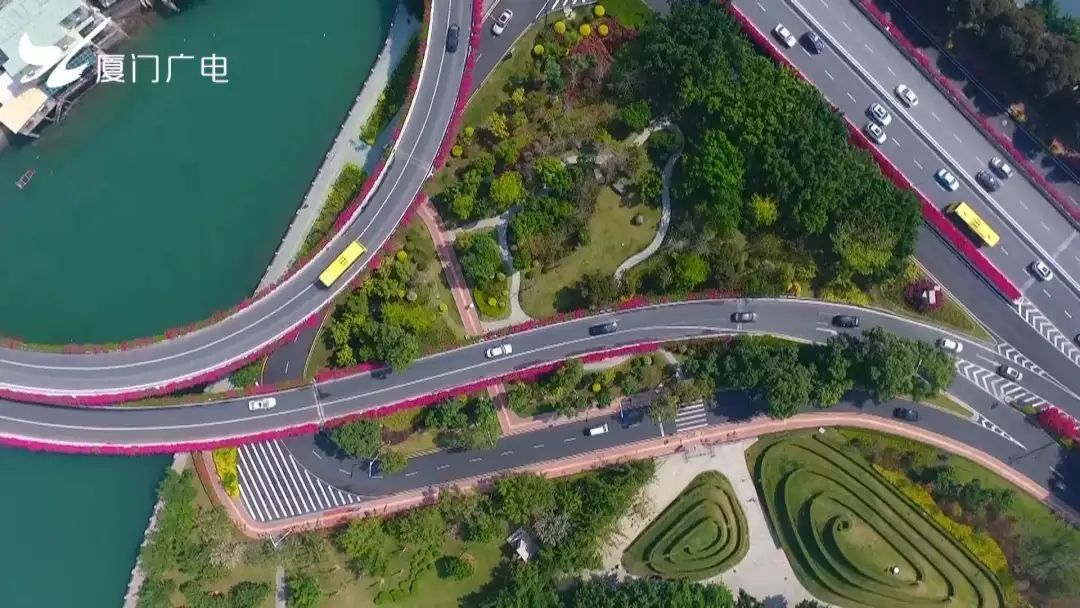 附近的湖滨西路与湖滨北路上湖滨西路与湖滨北路三角梅是厦门的市花