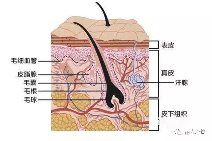 舒淇杨紫蒋勤勤柯震东都输给了它??