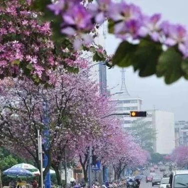 广西这一城市很低调，经济仅次于省会南宁，未来发展潜力巨大