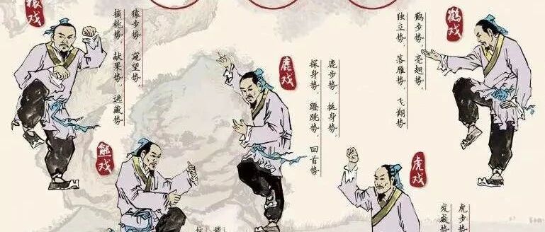 五禽戏教学视频