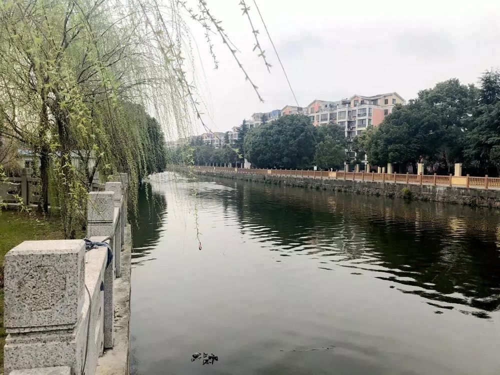 无锡市首批"民间河长"诞生,鸿山民间河长,义务巡河员已就位!