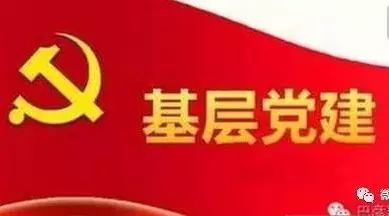 加强基层党建发挥党员作用发展电商推动农业升级农村发展农民增收