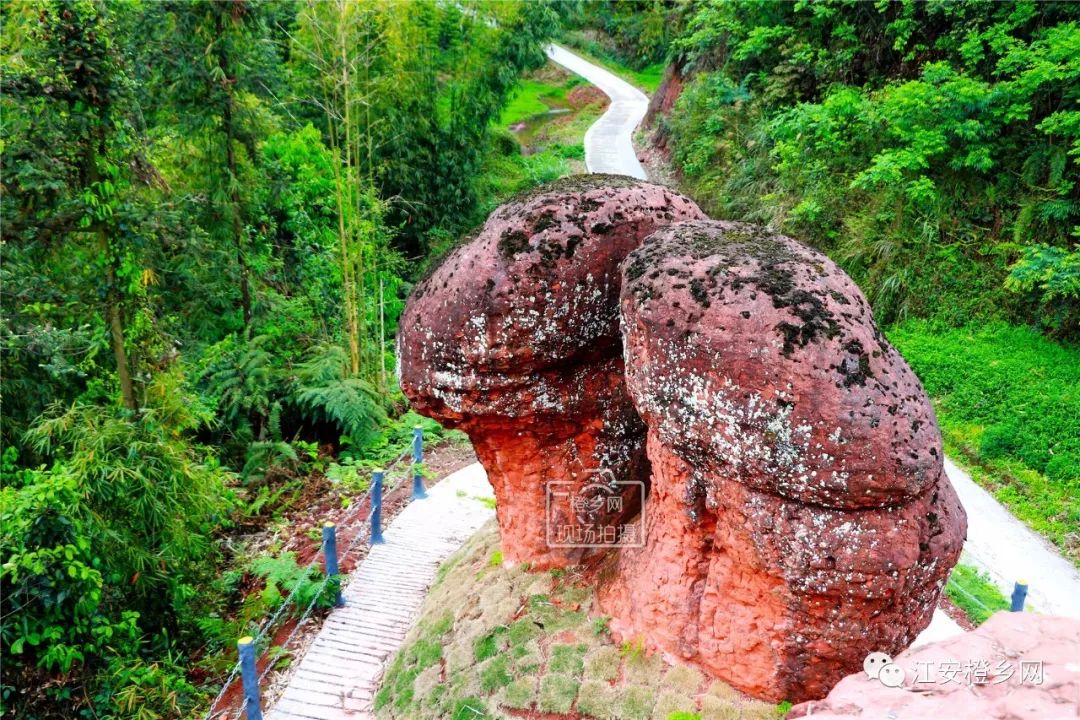 江安仁和将举办首届乡村旅游文化节,感受原生态,观景,吸氧,吃长桌坝坝