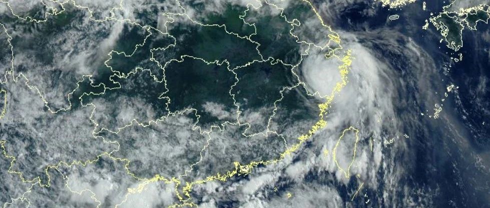 黑格比台风_上海发布
