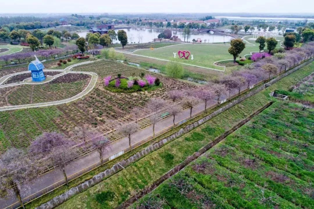 2021年中国花博会花落崇明岛 鸟瞰图抢先看