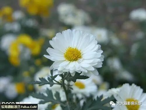 测光模式运用_尼康测光模式_测光模式