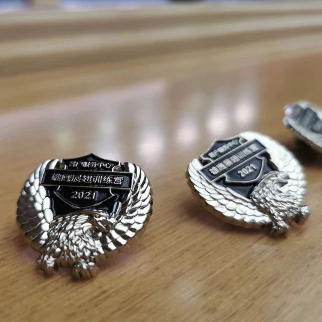 风电后市场微平台雄鹰展翅，志在千里丨客户服务中心雄鹰展翅计划誓师大会圆满召开