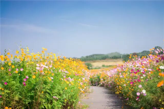 南京几个区_南京玄式区世纪缘湖滨花园酒店_南京有几个区