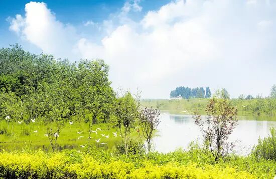 南京几个区_南京玄式区世纪缘湖滨花园酒店_南京有几个区