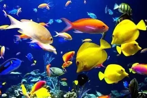 南京有几个区_南京玄式区世纪缘湖滨花园酒店_南京几个区