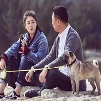 &ldquo;华妃&rdquo;爱上&ldquo;孔雀男&rdquo;,蒋欣林永健奇妙组合颜值不够实力来凑!