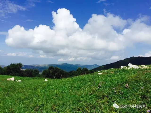 (3)【8月19日】北灵山高山草甸，一日休闲登山赏花-户外活动图-驼铃网