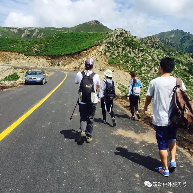 (5)【8月19日】北灵山高山草甸，一日休闲登山赏花-户外活动图-驼铃网