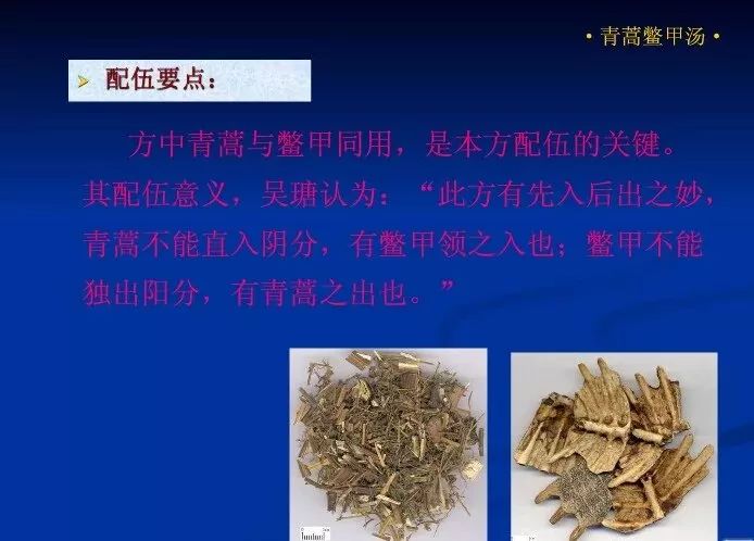 方剂选萃:参苏饮类方(4)